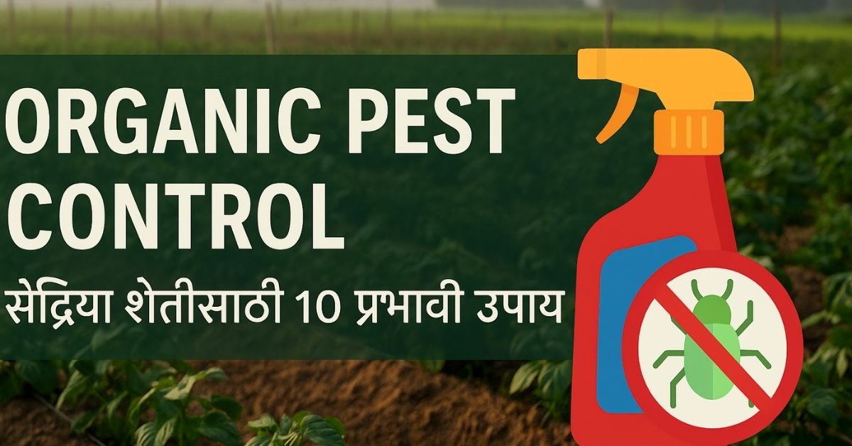 Organic Pest Control