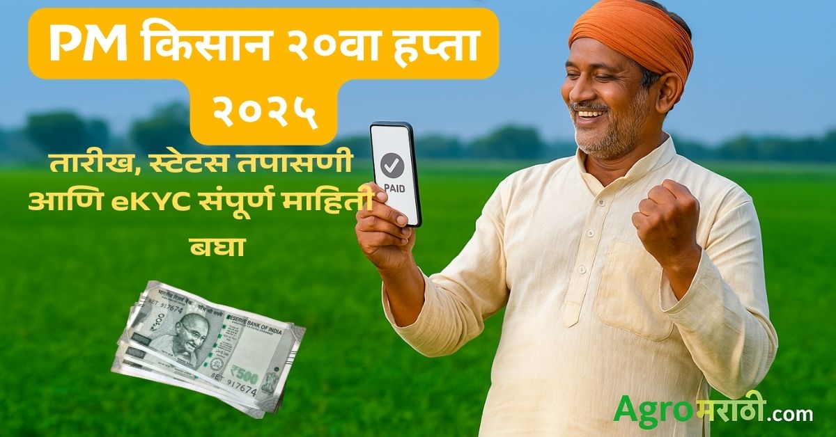 PM Kisan 20th instalment date 2025