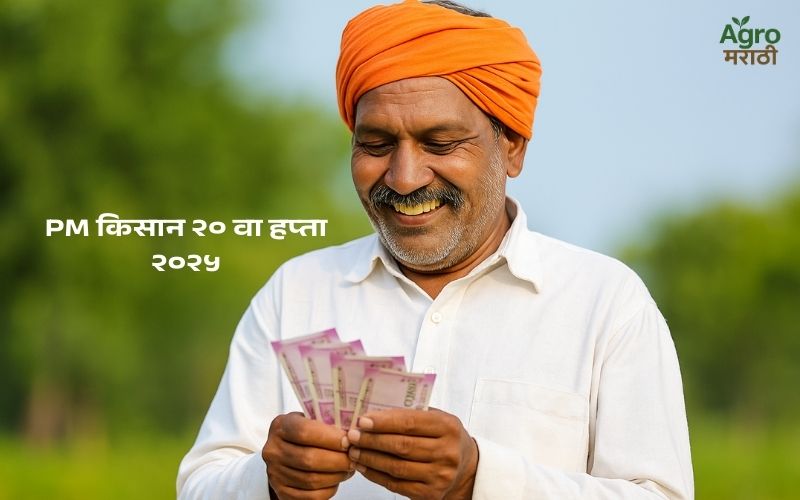 PM Kisan 20th instalment date 2025