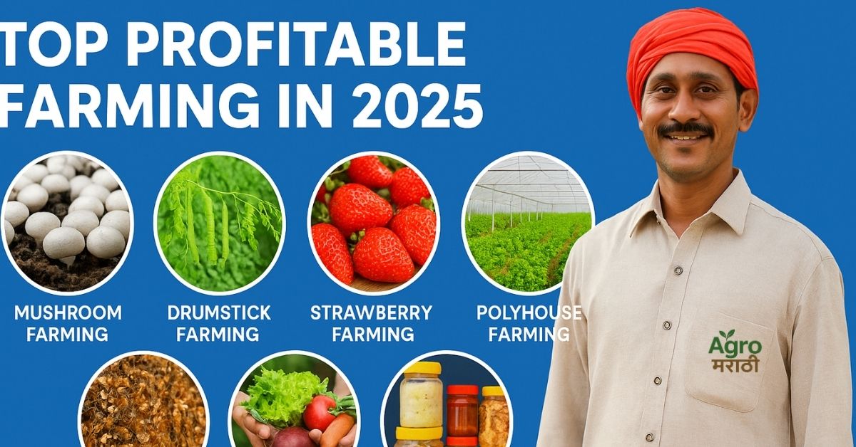Top Profitable Farming in 2025