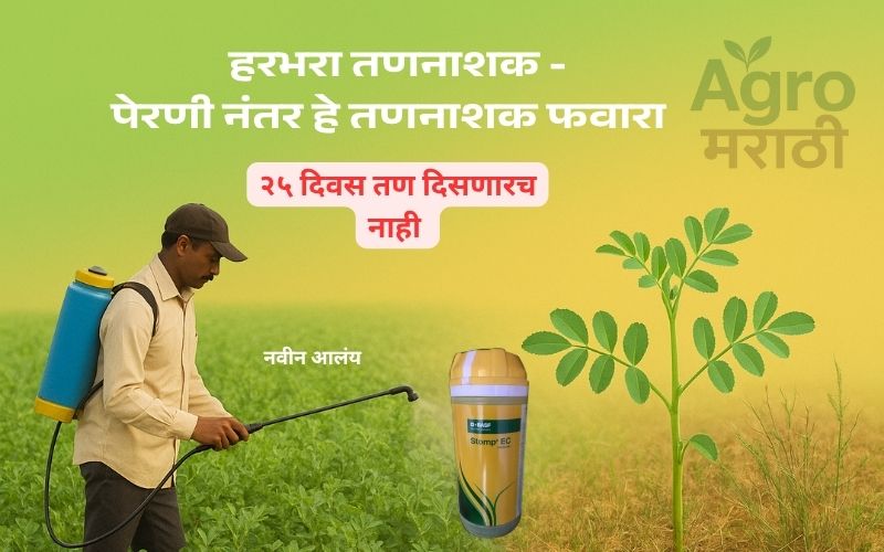 हरभरा तणनाशक